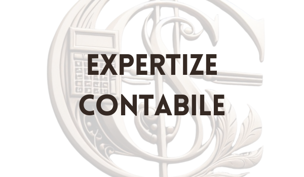 expertize contabile